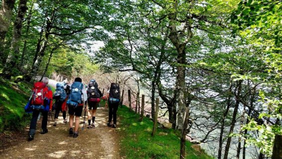 Kamino de Santijago (1)